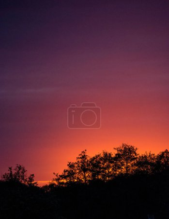 Foto de Puesta de sol sobre el bosque - Imagen libre de derechos