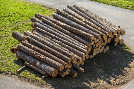 Foto de Pila de troncos de madera cortada para la venta - Imagen libre de derechos
