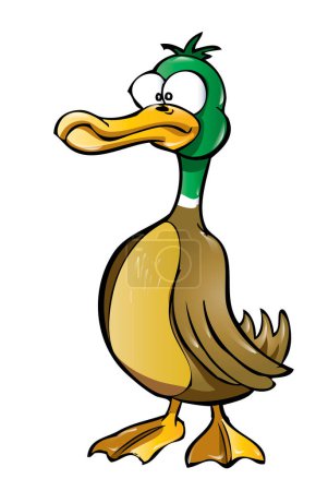 Téléchargez les illustrations : Illustration dessin animé d'un personnage de canard sur fond blanc - en licence libre de droit