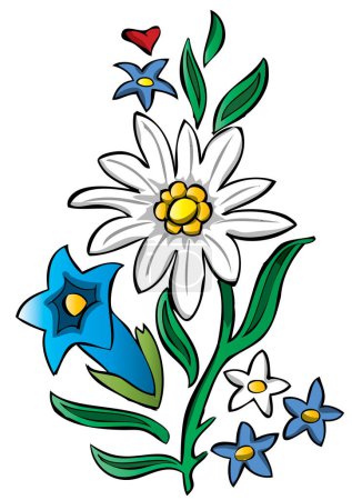 fleurs sauvages alpines dont un edelweiss