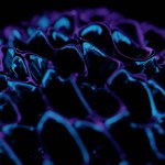 abstract neon glowing background. blue and black. 3 d render illustration.