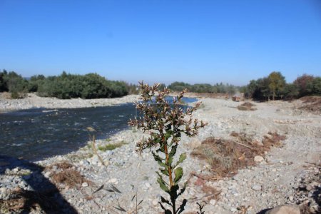 Téléchargez les photos : Fotografa de rio y caudal en Linares - en image libre de droit