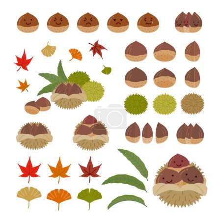Conjunto de iconos de alimentos (otoño): castaño simple y lindo, arce, ginkgo