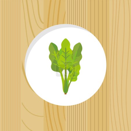 Téléchargez les photos : Légume - épinards & cadre en bois - en image libre de droit