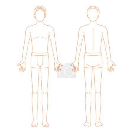 Illustration for Naked young man with underwear (full body, front, back, no face) - Royalty Free Image