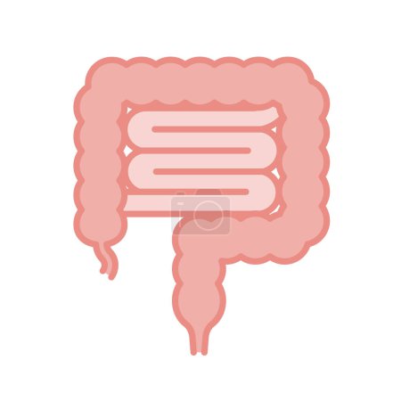 Simple and cute intestine line drawing icon