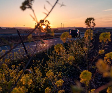 Road at sunset with a van and yellow flowers at the road side. Sunset in springtime