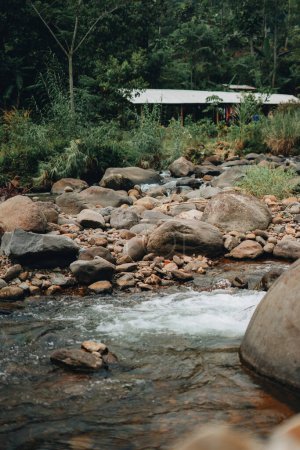 Téléchargez les photos : Curug Sentul rafraîchissant : Rivière claire qui coule de la cascade, entourée de forêts, idéale pour les amoureux de la nature - en image libre de droit