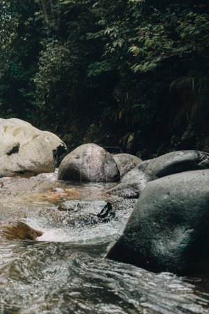 Orzeźwiający Curug Sentul: Clear River Flowing from Waterfall, Otoczony lasami, Idealny dla miłośników przyrody