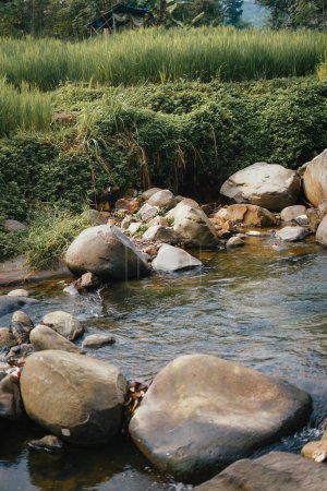 Orzeźwiający Curug Sentul: Clear River Flowing from Waterfall, Otoczony lasami, Idealny dla miłośników przyrody