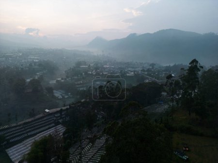 Mysteriös, ätherischer Nebel bedeckt den Bergwald in Lembang Bandung