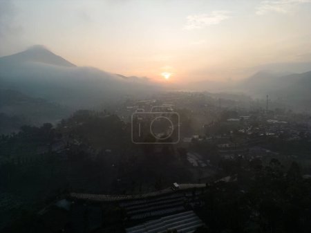 Mysteriös, ätherischer Nebel bedeckt den Bergwald in Lembang Bandung