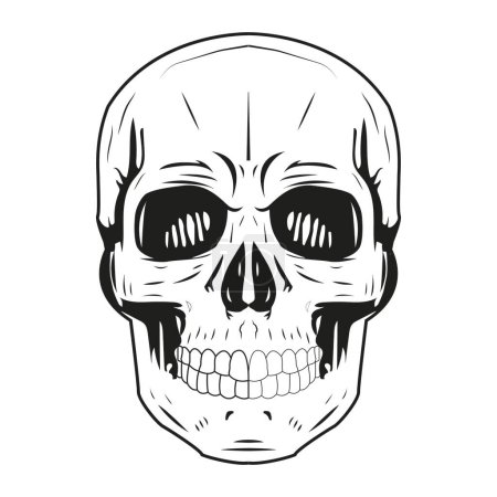 Illustration for Unique skeletion vector design drawing - Royalty Free Image