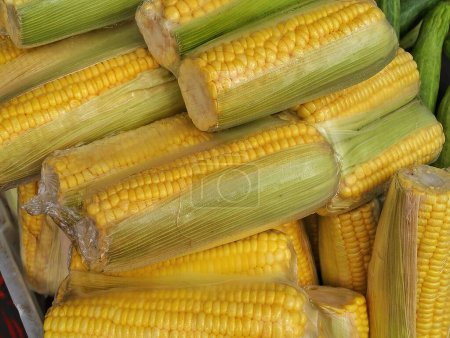 corn cobs in market