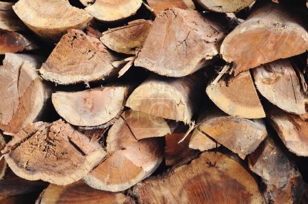 Photo for Split wood arranged neatly, natural background - Royalty Free Image