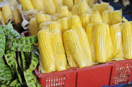 Téléchargez les photos : Épis de maïs à la nourriture de rue - en image libre de droit