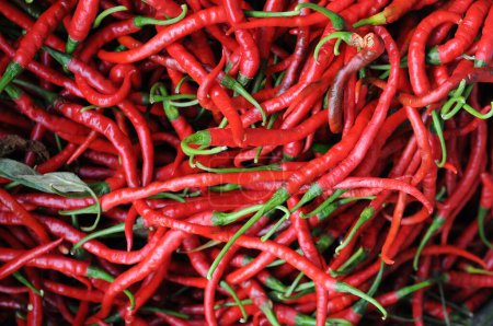 Foto de Chile picante rojo en el mercado, fondo de la naturaleza - Imagen libre de derechos
