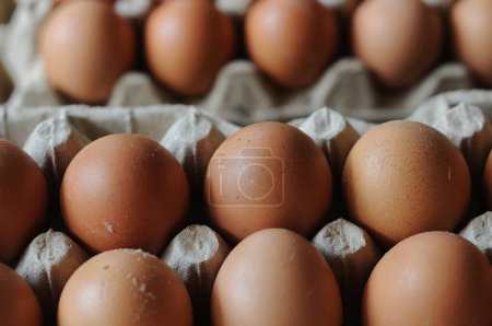 Photo for Brown egg in the package at food market - Royalty Free Image