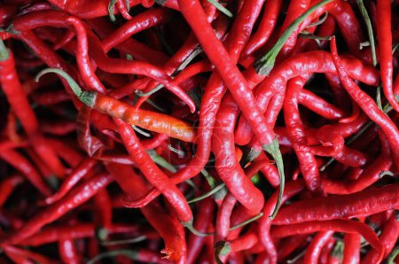 Foto de Chiles rojos en el mercado, fondo de la naturaleza - Imagen libre de derechos
