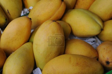Téléchargez les photos : Mangue thaïlandaise avec des types de mangues arc-en-ciel dans les marchés minimums - en image libre de droit
