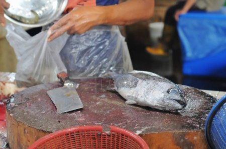 Foto de Varios pescados frescos en los mercados tradicionales - Imagen libre de derechos
