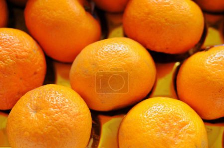 Photo for Sunkist fruit in a cardboard box, nature background - Royalty Free Image