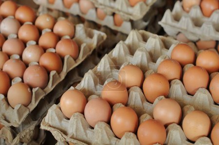 Photo for Fresh eggs at street food - Royalty Free Image