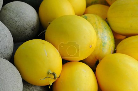 Foto de Melones en mercados tradicionales para la venta - Imagen libre de derechos