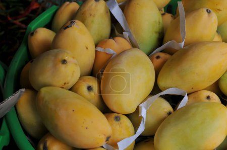 close up view of delicious ripe yellow mango 