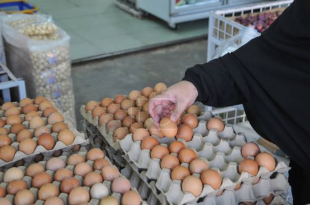 Téléchargez les photos : Travailleur dans une usine, un travailleur tient un œuf dans la boîte à œufs. - en image libre de droit