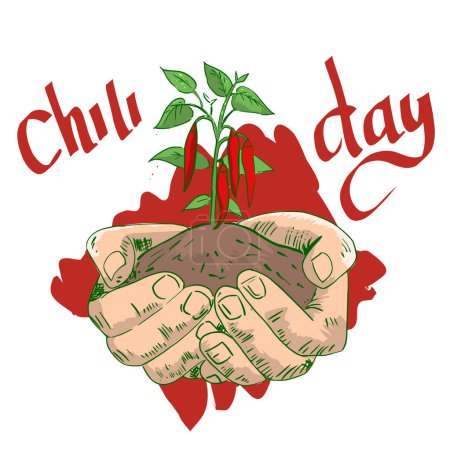 Ilustración de Mano sosteniendo una planta de chile, día nacional mundial del chile - Imagen libre de derechos