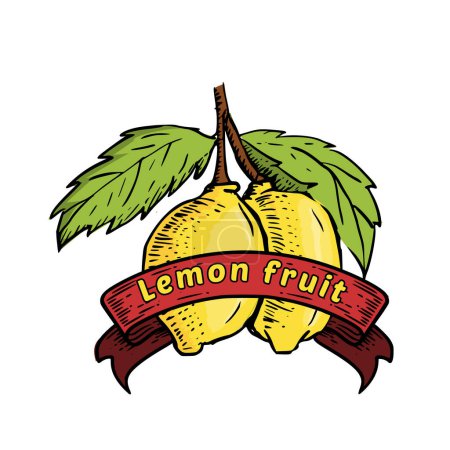 Illustration for Fresh fruit design, vector illustration - Royalty Free Image