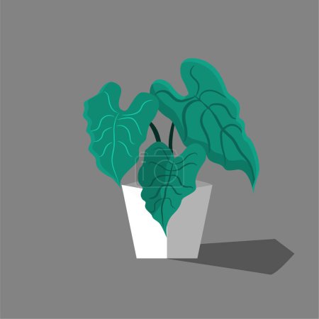 Ilustración de Diseño plano vectorial de planta en maceta icono aislado sobre fondo blanco - Imagen libre de derechos