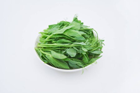 Photo for Pea leaf vegetables on plate - Royalty Free Image
