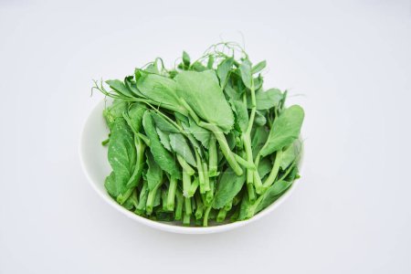 Photo for Pea leaf vegetables on plate - Royalty Free Image
