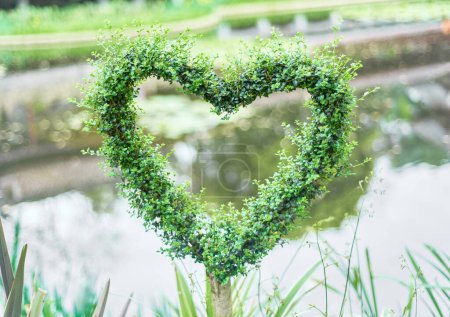 a heart shaped green plant
