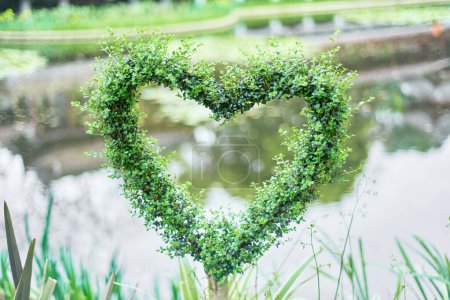 a heart shaped green plant