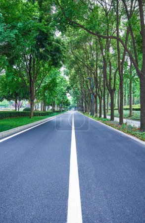Photo for A straight asphalt road - Royalty Free Image