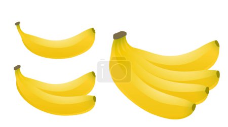 set of bananas on white background