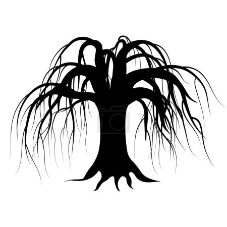Vector illustration of dry willow tree silhouette