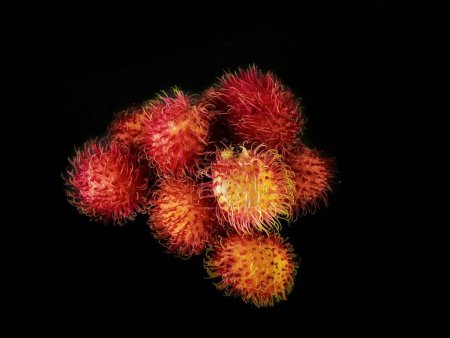 fruta roja de rambután tropical sobre fondo negro