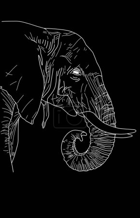 Téléchargez les photos : Art de la ligne blanche de silhouette d'éléphant sur fond noir - en image libre de droit