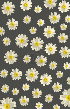 Téléchargez les photos : Beaucoup de motifs de fleurs de marguerite blanche sur un fond gris - en image libre de droit