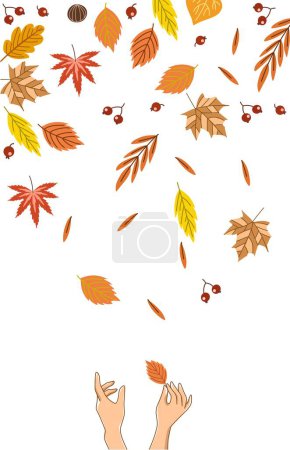 Téléchargez les photos : Mains tenant des feuilles sèches en automne - en image libre de droit