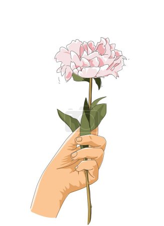 Hand hält rosa Rose Blume auf weißem Hintergrund