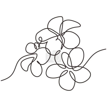 Téléchargez les illustrations : Plumeria fleurs vecteur. Un dessin d'art linéaire continu. Plante exotique tropicale. Illustration vectorielle isolée. Design minimaliste dessiné à la main. - en licence libre de droit