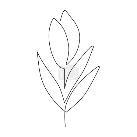 Tulpenblüte in ununterbrochener Linienzeichnung. Pflanzenskizze Kunst. Vektor-Illustration isoliert. Minimalistisches Design von Hand gezeichnet.