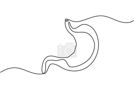 Ilustración de Estómago humano una línea continua dibujo de arte. - Imagen libre de derechos