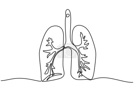 Téléchargez les illustrations : Poumons dessin d'une ligne. Organe respiratoire de l'anatomie humaine. - en licence libre de droit