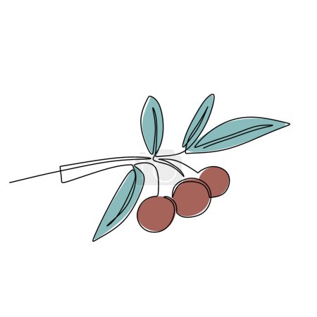 Téléchargez les illustrations : Olives dessin en ligne continue. Une seule ligne d'art plante organique pour l'extraction d'huile. Illustration vectorielle isolée. Design minimaliste dessiné à la main. - en licence libre de droit